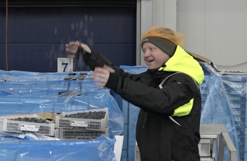 Robbert Leisink fruit.jpg